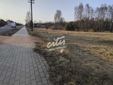 Działka Sprzedaż Cybinka